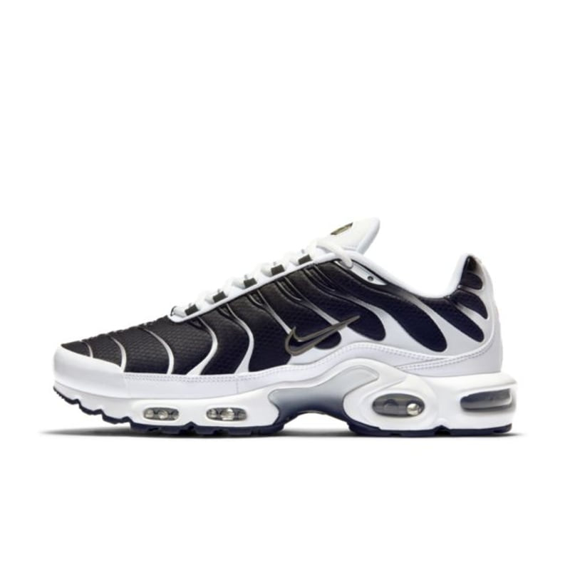 Nike Air Max Plus “Killer Whale”